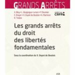 les-grands-arrets-du-droit-des-libertes-fondamentales-9782247239375
