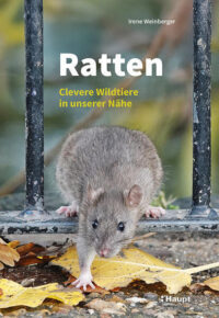 Couverture du livre : Ratten – 9783258083155 - sur www.promoculture.lu