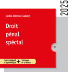 droit-penal-special-9782247283915