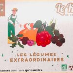 les-legumes-extraordinaires-kit-de-graines