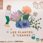 les-plantes-a-tisanes
