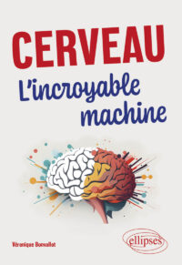 Couverture du livre : Cerveau – 9782340103108 - sur www.promoculture.lu