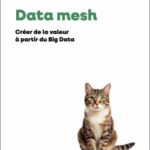 data-mesh-9782100882915