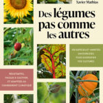 des-legumes-pas-comme-les-autres-9782379224478