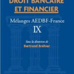 droit-bancaire-et-financier-9782850340420