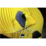 Vie-oceane-La-biologie-marine-pour-tous