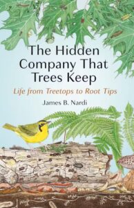 Couverture du livre : The Hidden Company That Trees Keep – 9780691277455 - sur www.promoculture.lu
