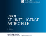 droit-de-lintelligence-artificielle-9782275162027 droit-de-lintelligence-artificielle-9782275162027