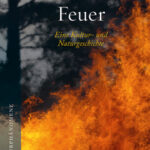 feuer-9783258084114