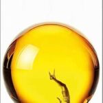 haus-zur-sonne-9783462004656