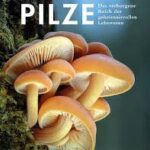 pilze-9783258084558 pilze-9783258084558