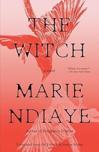 Couverture du livre : The Witch – 9798217006809 - sur www.promoculture.lu
