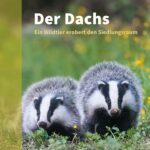 Dachs