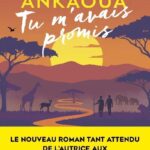 tu-m-avais-promis-4f308f1e