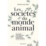 Les-societes-secretes-du-monde-animal