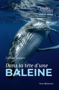 Couverture du livre : Dans la tête d’une baleine – 9791040301431 - sur www.promoculture.lu