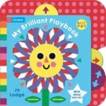 my-brilliant-playbook-9781035076185