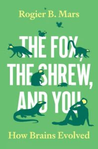 Couverture du livre : The Fox, the Shrew, and You – 9780691238920 - sur www.promoculture.lu