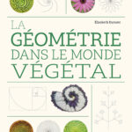 la-geometrie-dans-le-monde-vegetal-9782379224614 la-geometrie-dans-le-monde-vegetal-9782379224614