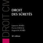 droit-des-suretes-9782275163871