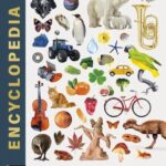 encyclopedia-9782095067625 encyclopedia-9782095067625