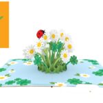 marienkafer-im-glucksklee-pop-up-karte marienkafer-im-glucksklee-pop-up-karte