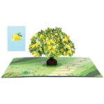 zitronenbaum-pop-up-karte-8056736375273 zitronenbaum-pop-up-karte-8056736375273